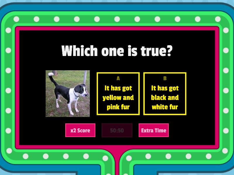 Animals - Gameshow Quiz