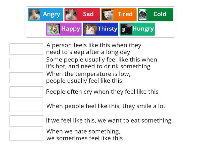 Feelings | VOCABULARY ICFES - Match up