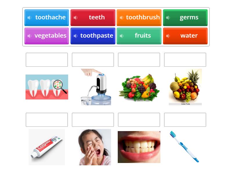 All About Teeth (G1) - Match up