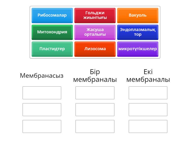 6 апта. 6 апта