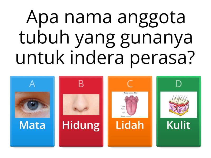 Kuis Panca Indera - Quiz