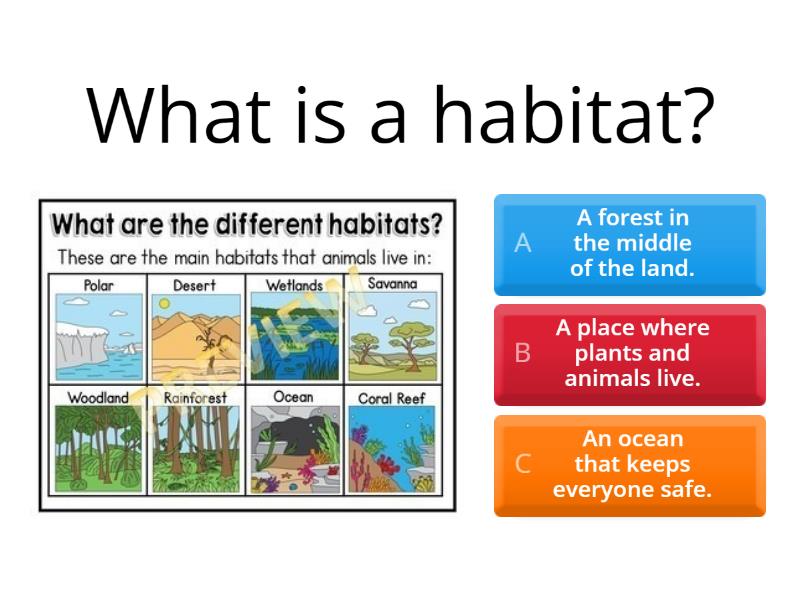 Habitats - Quiz