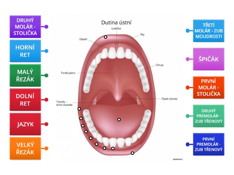 CHRUP - Labelled diagram