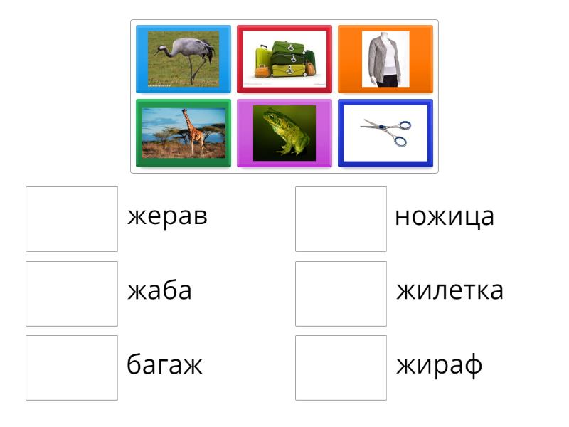 Думи с ж - Match up