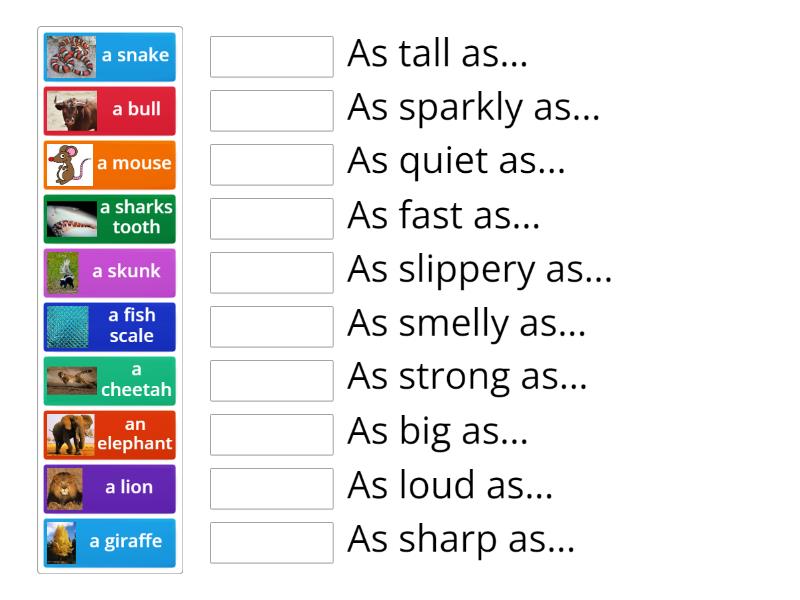 Animal simile - Match up