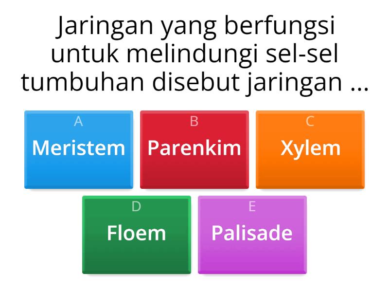 LATIHAN JARINGAN PADA TUMBUHAN - Quiz