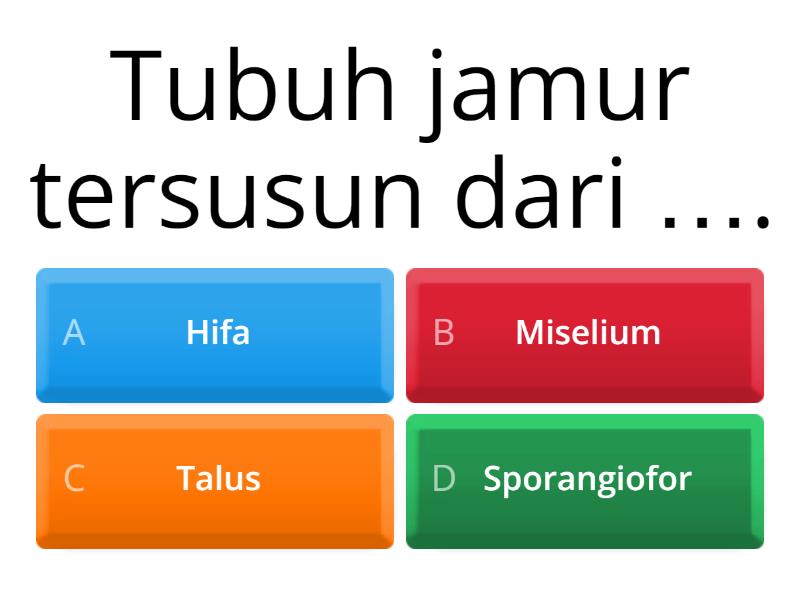 Jawablah Pertanyaan Di Bawah Ini! - Quiz