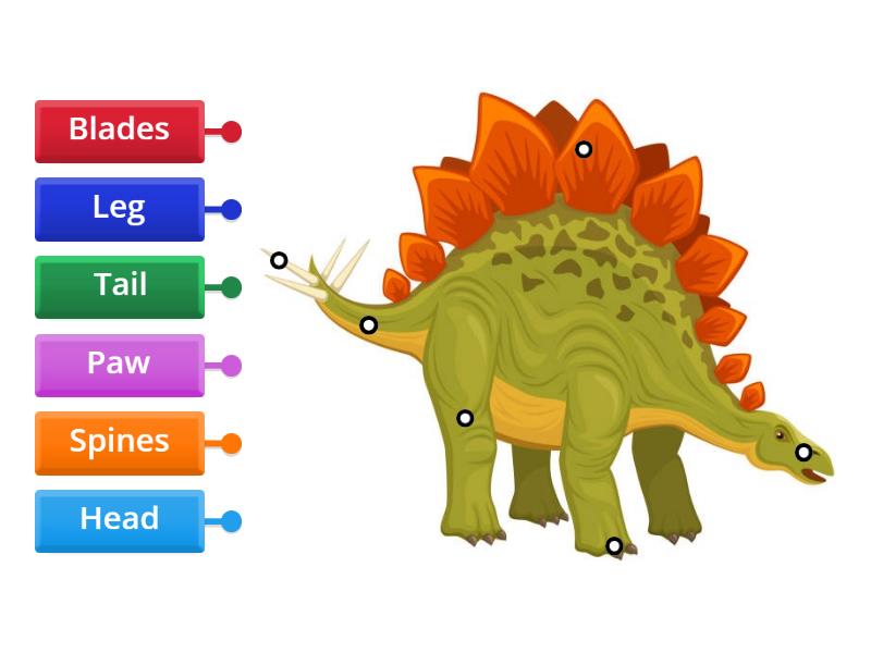 Stegosaurus - parts of the body - Labelled diagram