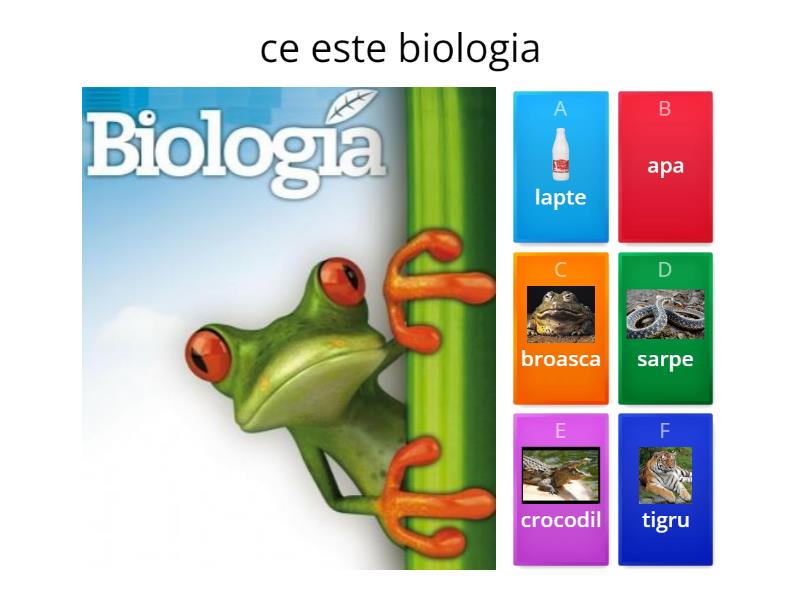 QUIZFRAGEN ZUR BIOLOGIE MIT ANTWORTEN visual data 2