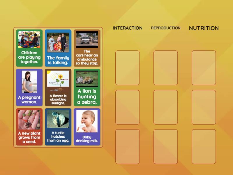 Three vital functions - Group sort