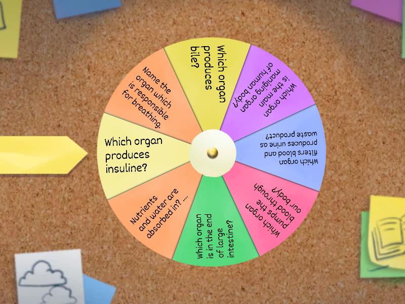 Human organs and their functions answer the question Spin the wheel