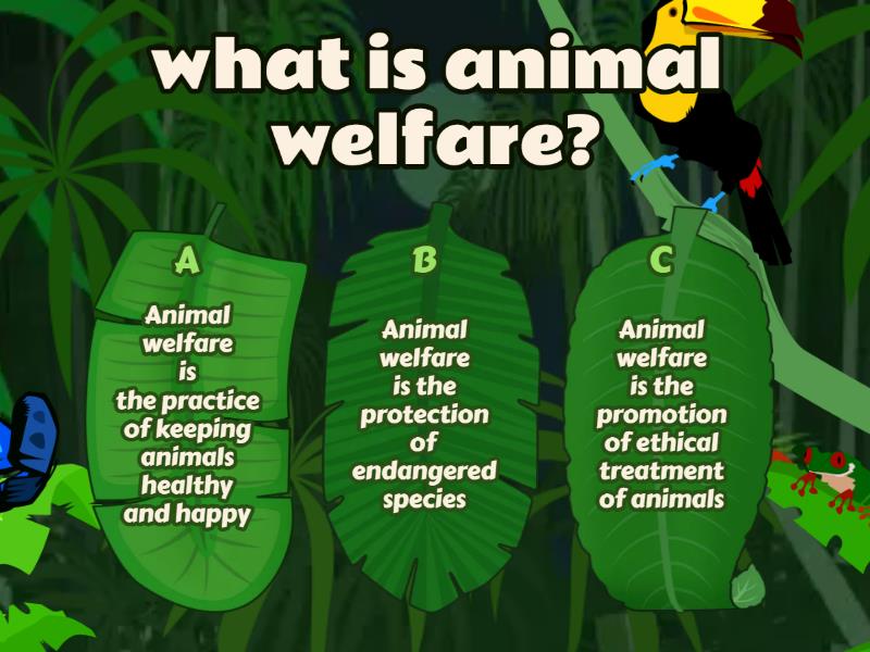 ANIMAL WELFARE Quiz