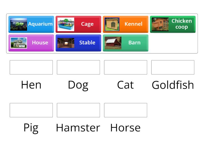 Animals and their homes - Match up