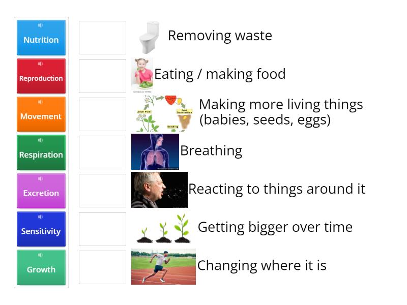 The Seven Life Processes of Living Things - Match up
