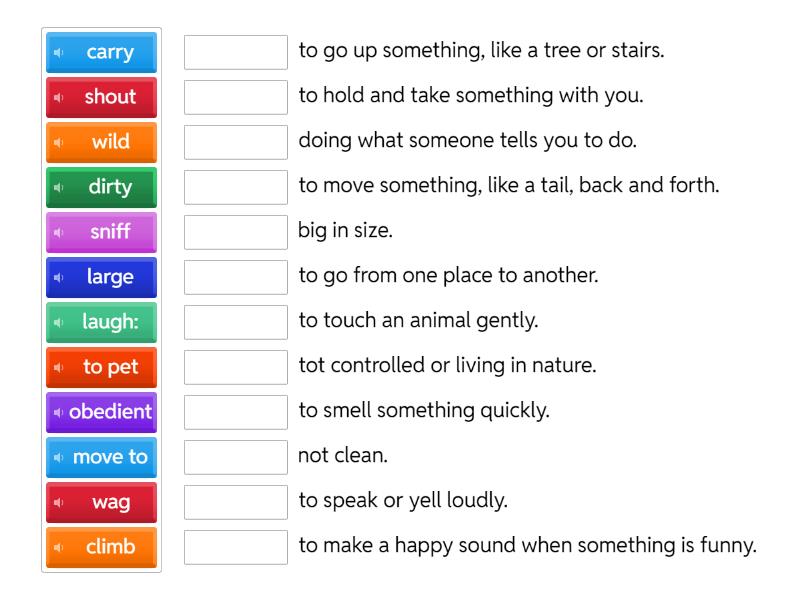 match the words with their meanings - Match up