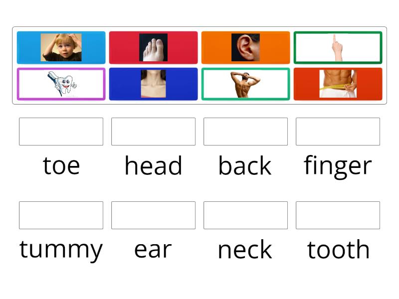 wordwall bugs team 2 unit 4 body parts