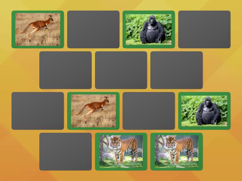 CADA ANIMAL CON SU PAREJA - Matching pairs