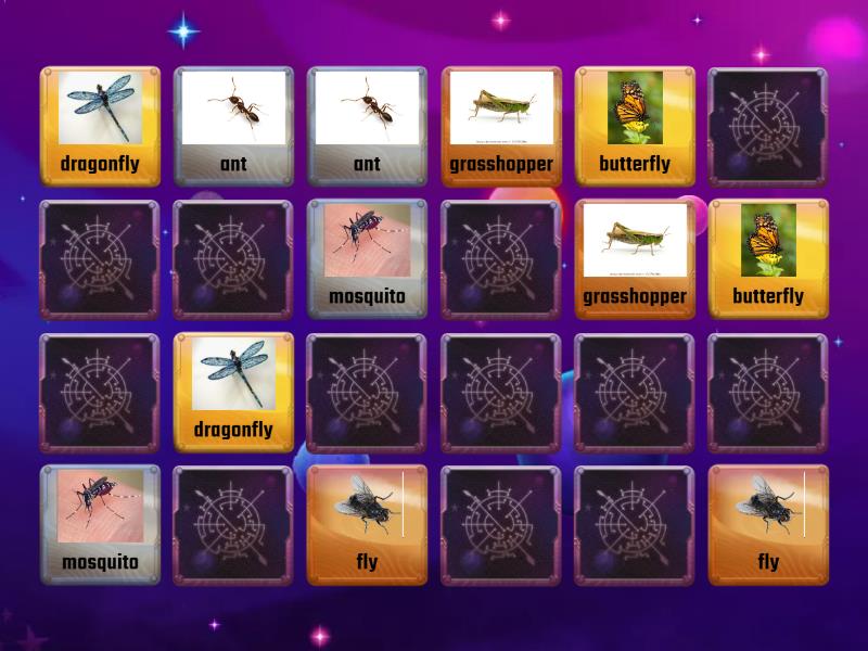 Insects - Memory Game - Matching Pairs