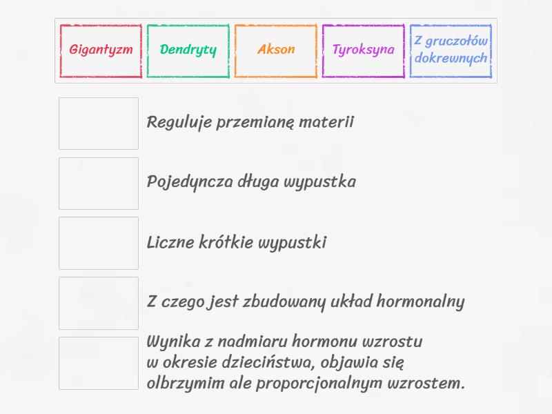 Regulacja Nerwowa Hormonalna Sprawdzian 2 Gim Regulacja nerwowo-hormonalna - Match up