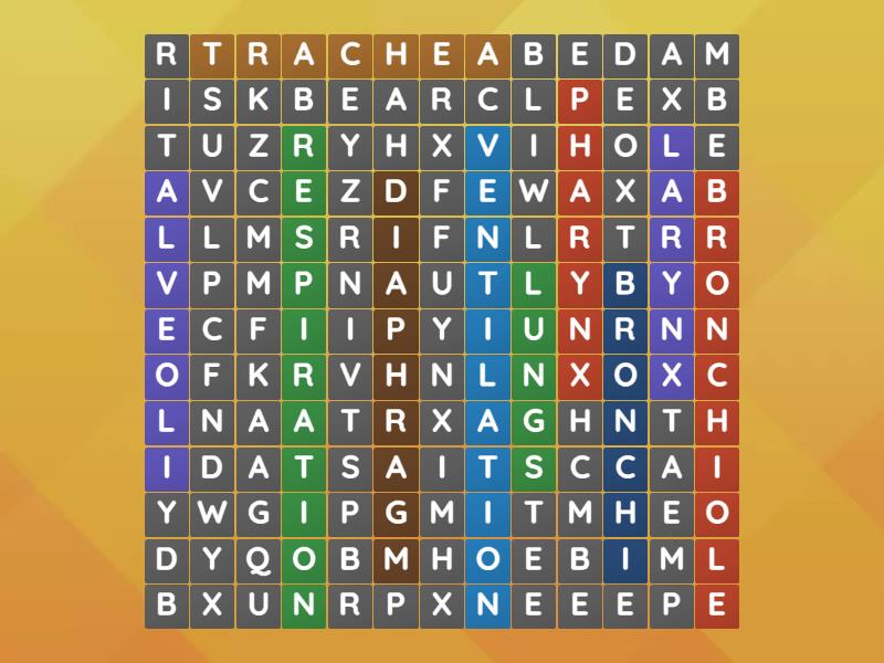 Science 9 Module 1 The Human Respiratory System Wordsearch