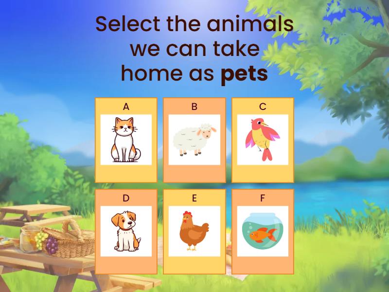 Pet Animals, Farm Animals, Zoo Animals Quiz