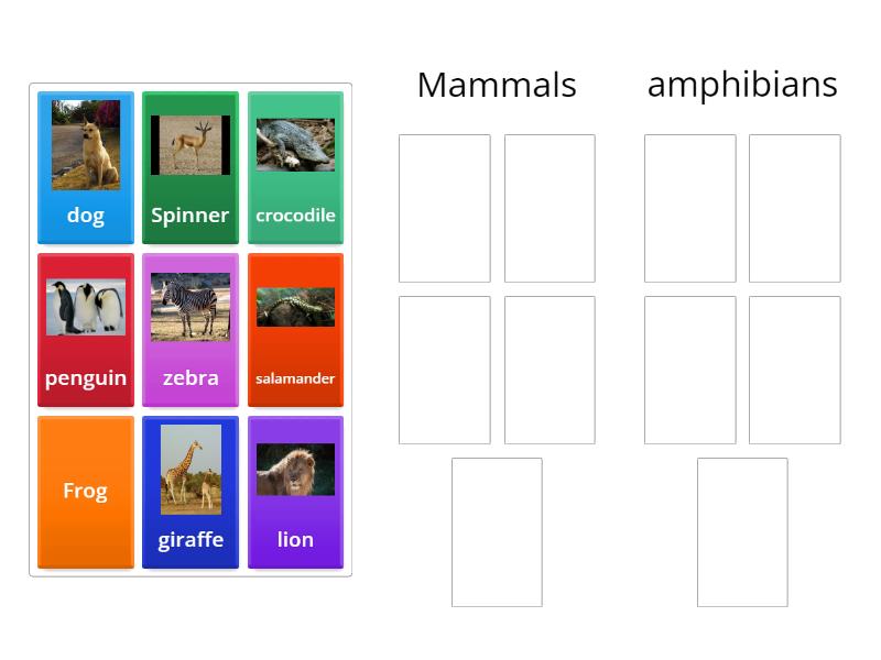 Classification of animals, amphibians, mammals - Group sort