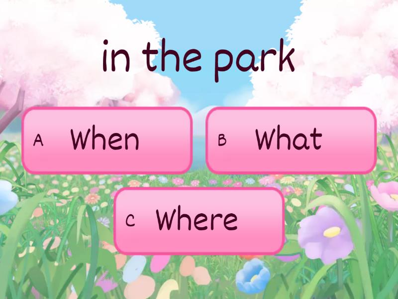 when what where who why (MB3) - Quiz