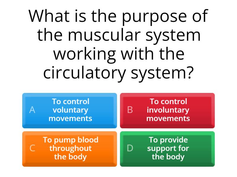 Muscular System Quiz
