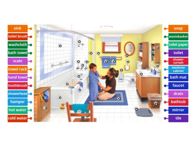 The Bathroom - Labelled diagram