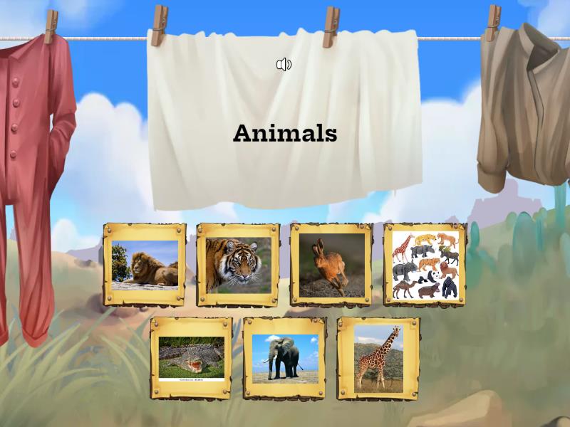 Rainbow English 3 Unit 7 animals - Find the match