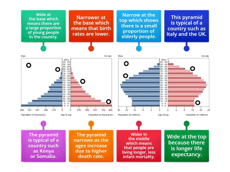 CEW Population pyramid characteristics - Labelled diagram