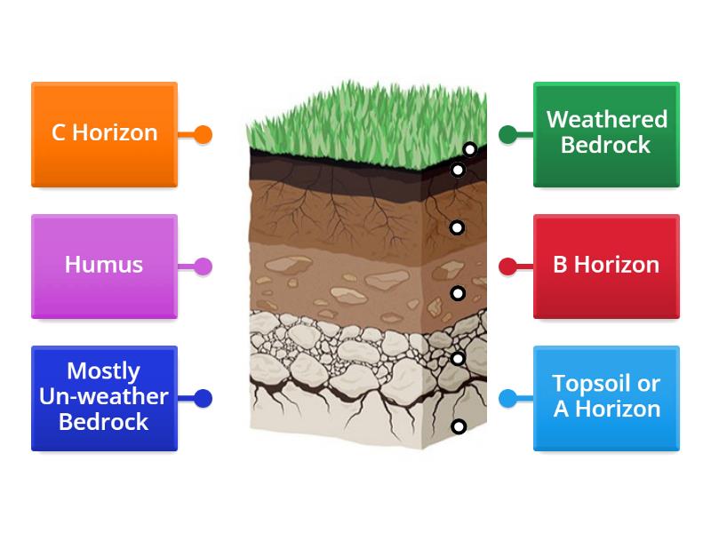 Soil horizons labelled diagram