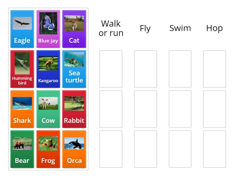 the way animals move - Group sort