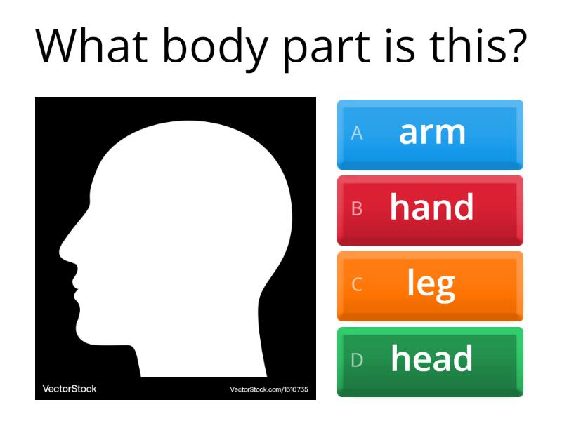 Curated visual reference: Fresh Look at 1R Body Parts