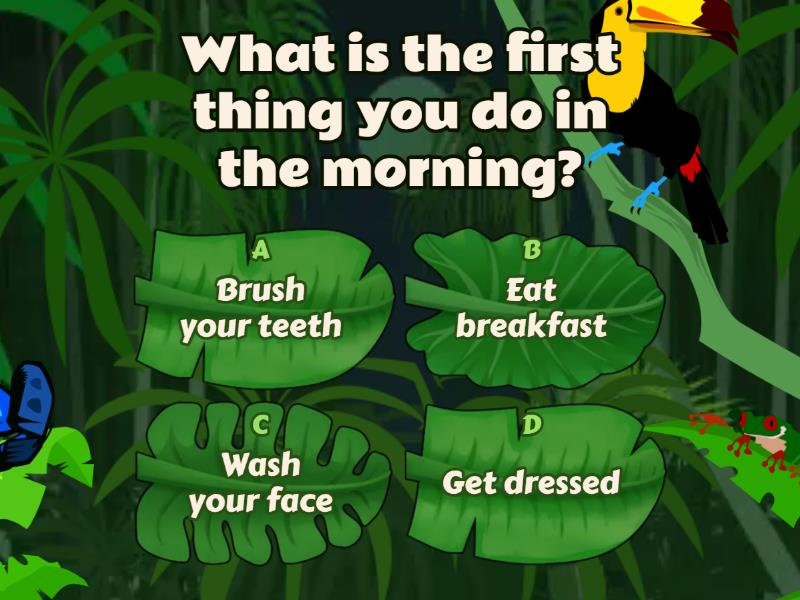 Daily routine - Quiz