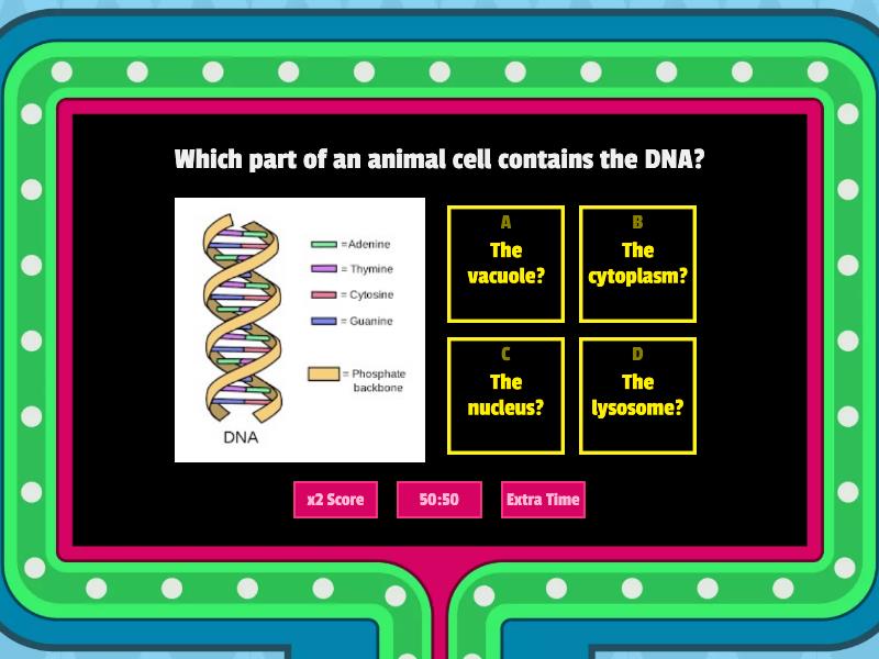 Cell Structure Quiz