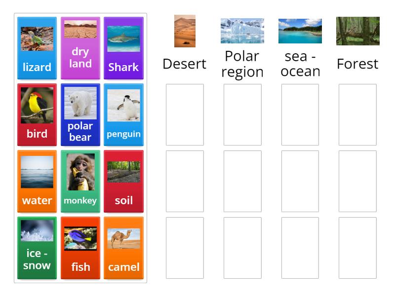 types of ecosystem - Group sort