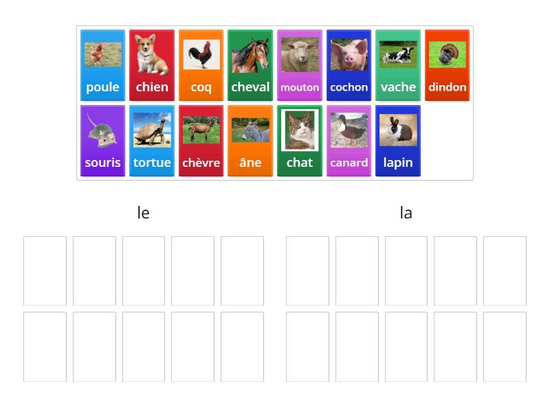 le ou la - Group sort