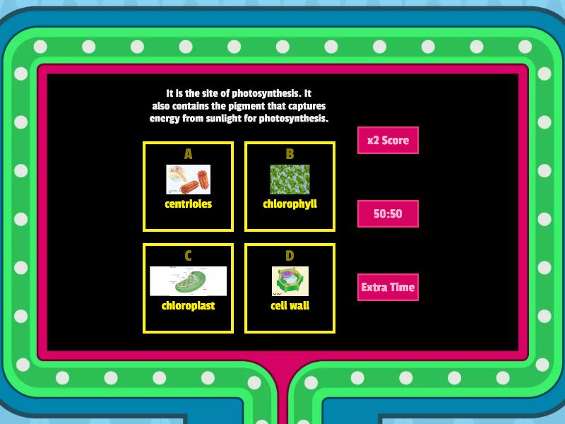 Cell Quiz Gameshow Quiz