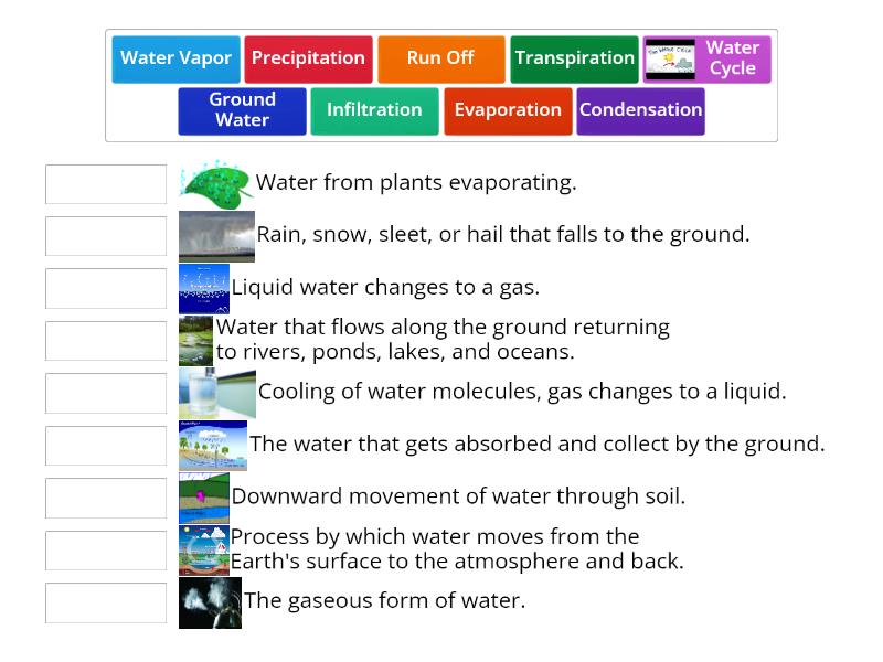 Water Cycle - Match up