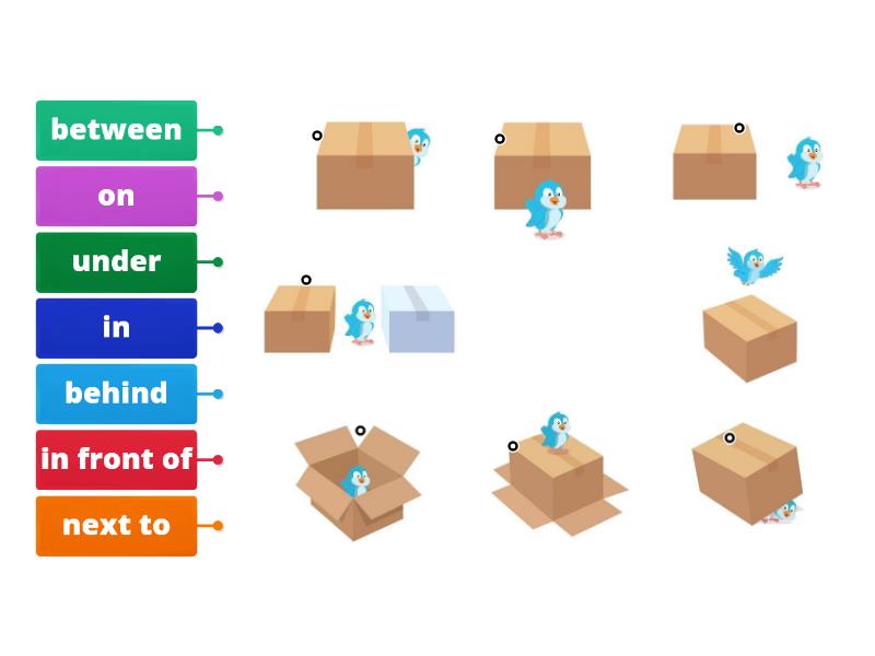 Prepositions of place (bird and box) - Labelled diagram