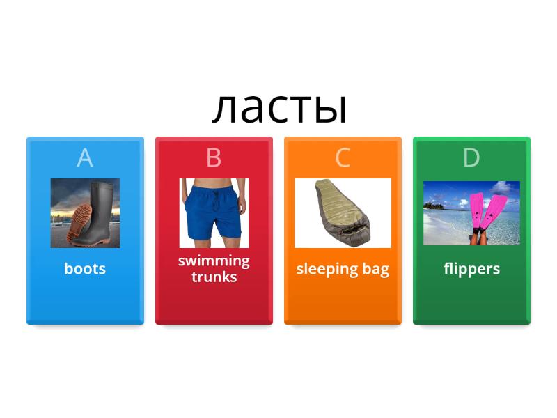 spotlight 4 unit 8 words 1 - Cuestionario