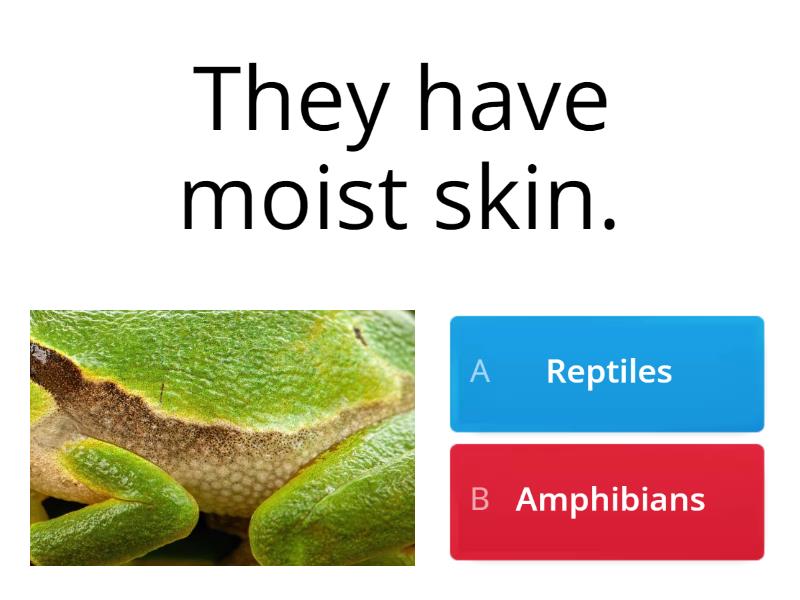 Reptiles Or Amphibians - Cuestionario