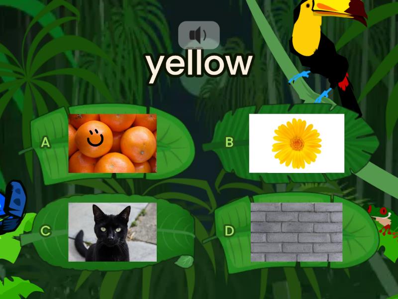 The Colors - Quiz