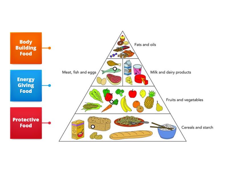 Label the Food Pyramid - Labelled diagram