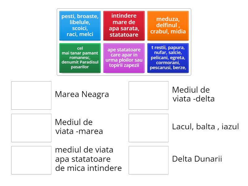 Mediul acvatic - Match up