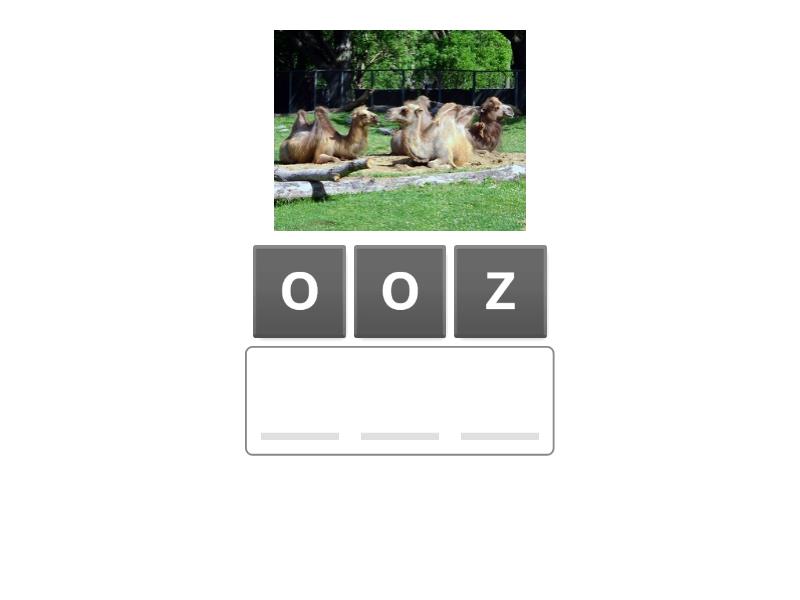 Spotlight 5 Unit 9b Places to go - Anagram