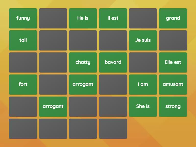 module 1 unité 4: Tu es comment? - Matching pairs