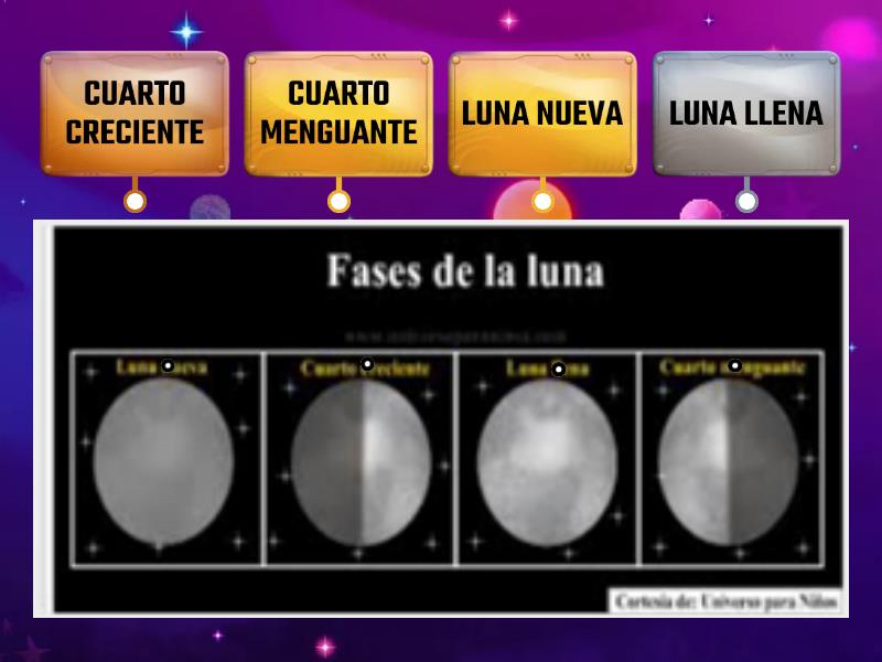 Fases De La Luna Preguntas - Cuestionario - Wordwall