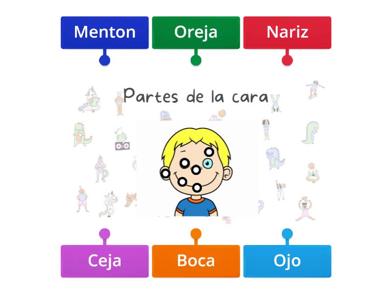 Partes De La Cara Labelled Diagram